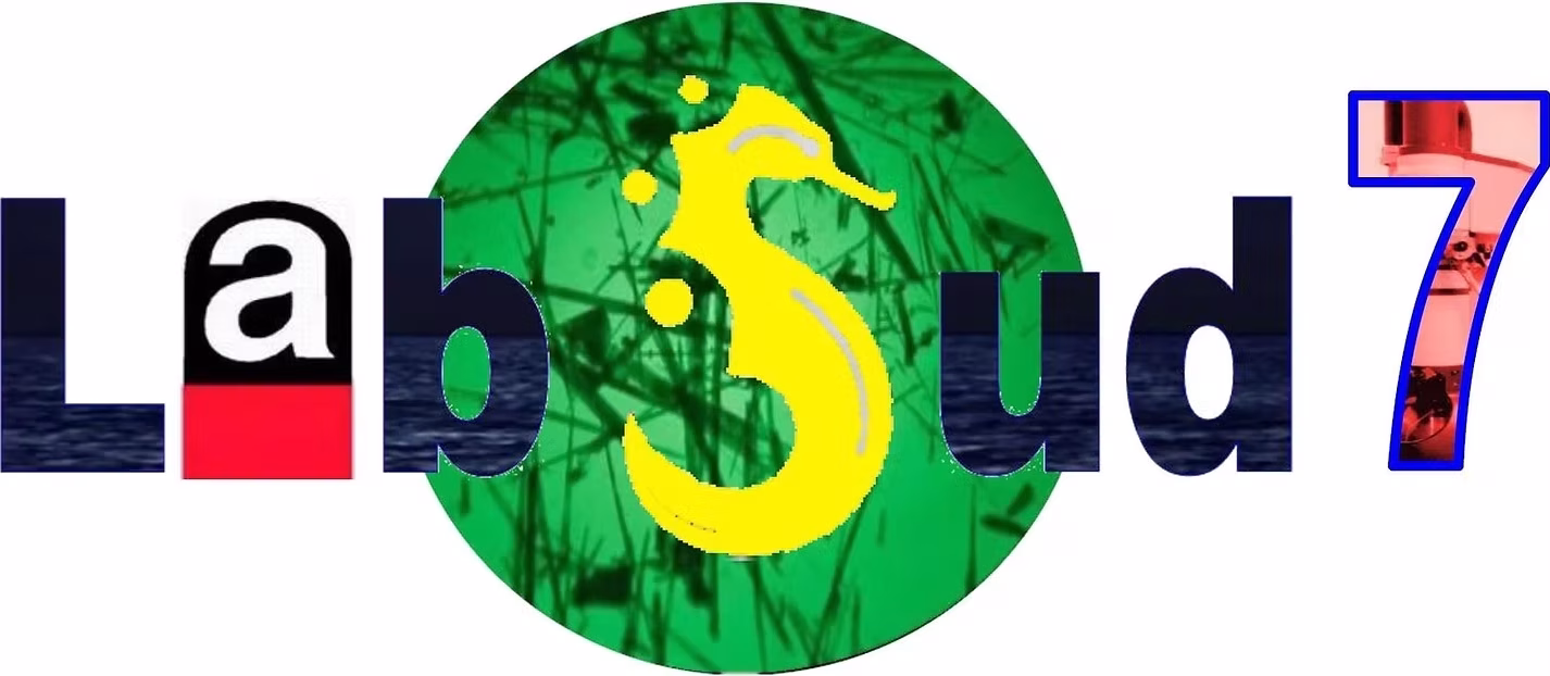 LabSud7 